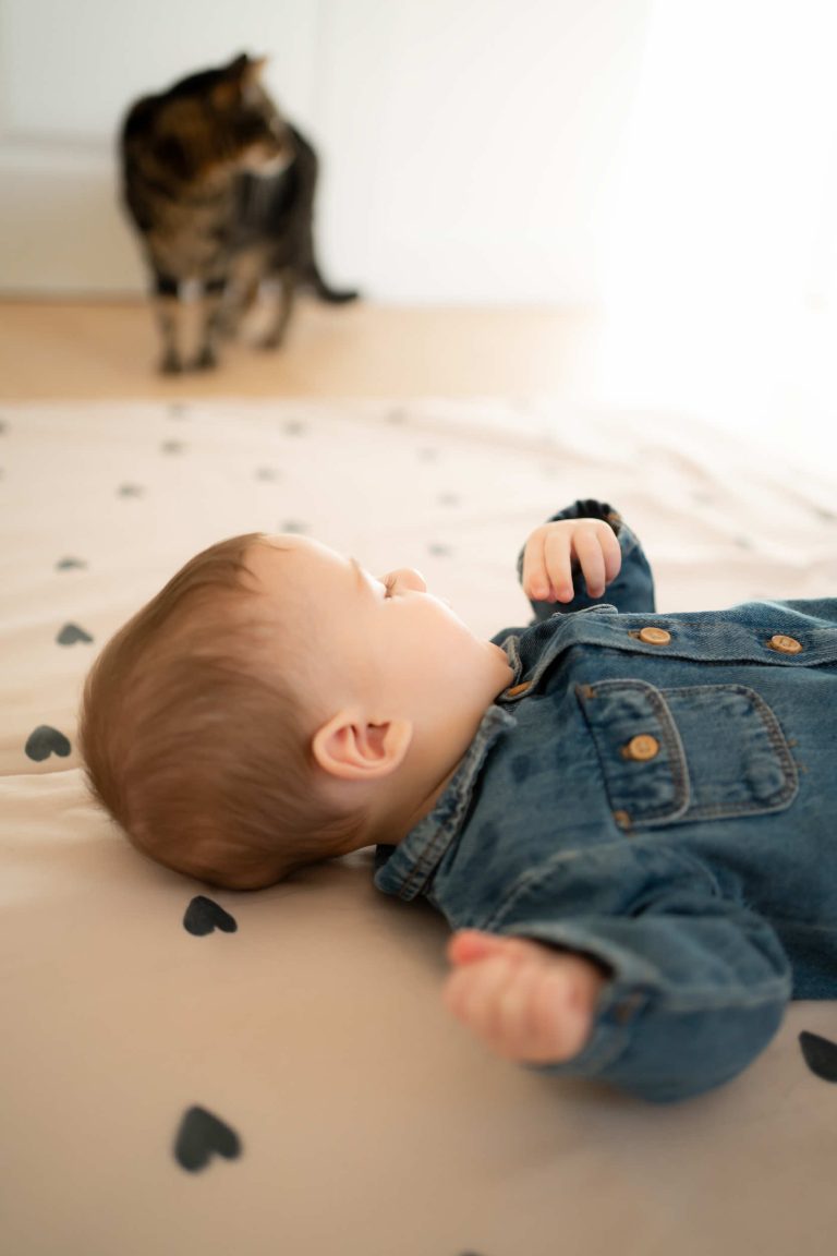 Un bébé avec son chat